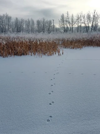 As @juliawriter put it, water being fancy for us 🤍